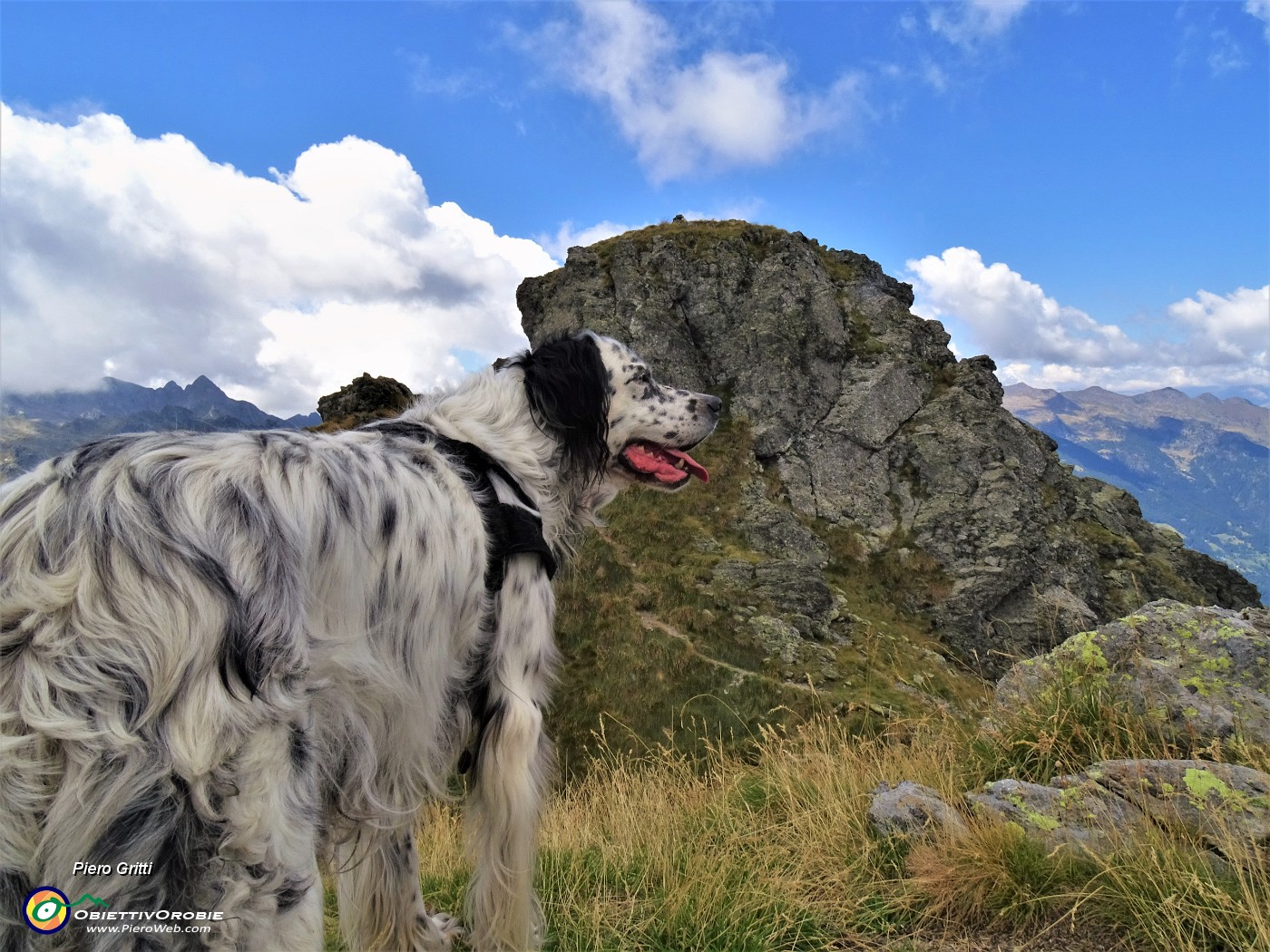 54 Nina  e la cima del Ponteranica centrale (2372 m.).JPG